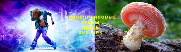 экстази Арсеньев